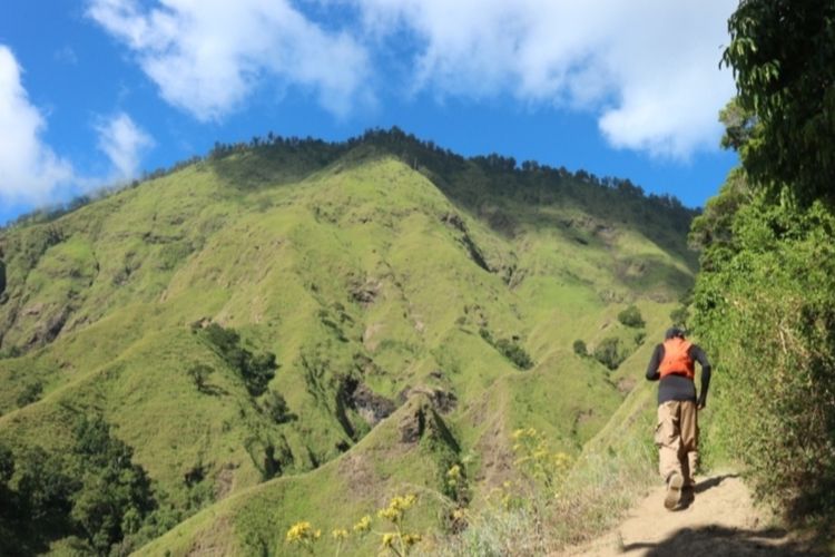 Ilustrasi Bukit Sempana yang merupakan satu dari seven summit yang sayang tak didaki sebelum ke Rinjani.