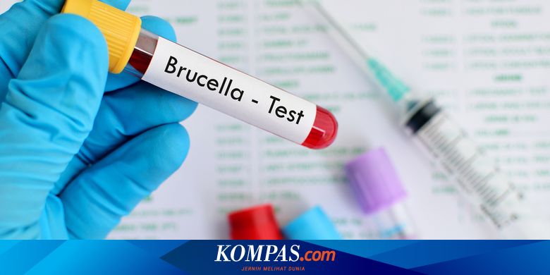 Wabah Brucellosis, Bagaimana Ribuan Orang China Terinfeksi Bersamaan?