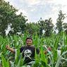 Produktivitas Pertanian di Blora Meningkat, Bukti Pentingnya Embung