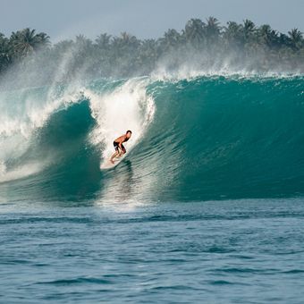 Ilustrasi olahraga surfing atau selancar air di kepulauan Mentawai.
