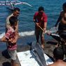 Seekor Lumba-lumba Mati Terdampar di Pantai Penimbangan Buleleng