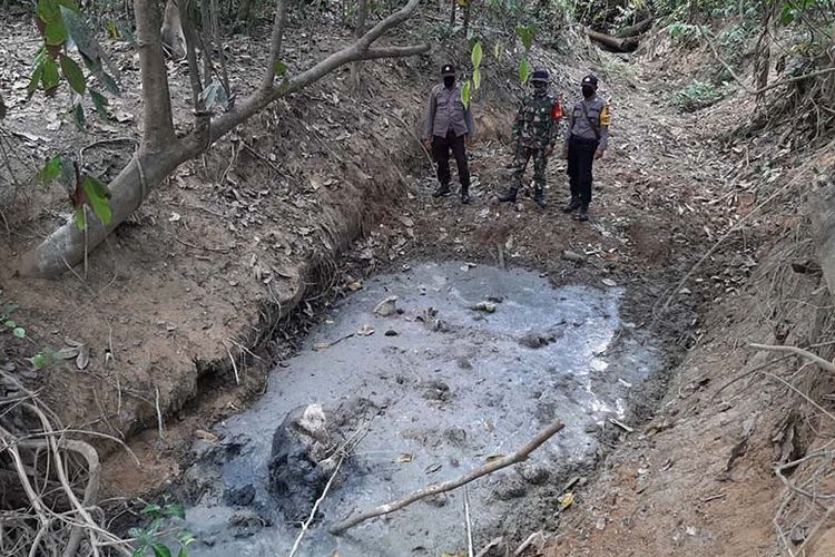 Personel TNI/Polri mengamati lokasi temuan bangkai anak gajah di kawasan hutan produksi Dusun Kerung Baung, Gampong Peunaroen Lama, Kecamatan Peunaroen, Aceh Timur, Sabtu (4/4/2020). ANTARA/HO-BKSDA Aceh