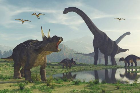 Dinosaurus Jadi Alasan Manusia Berumur Pendek