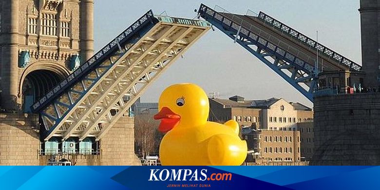 Quot Bebek Gendut Quot Sejenak Lepaskan Stres Warga London Halaman All Kompas Com