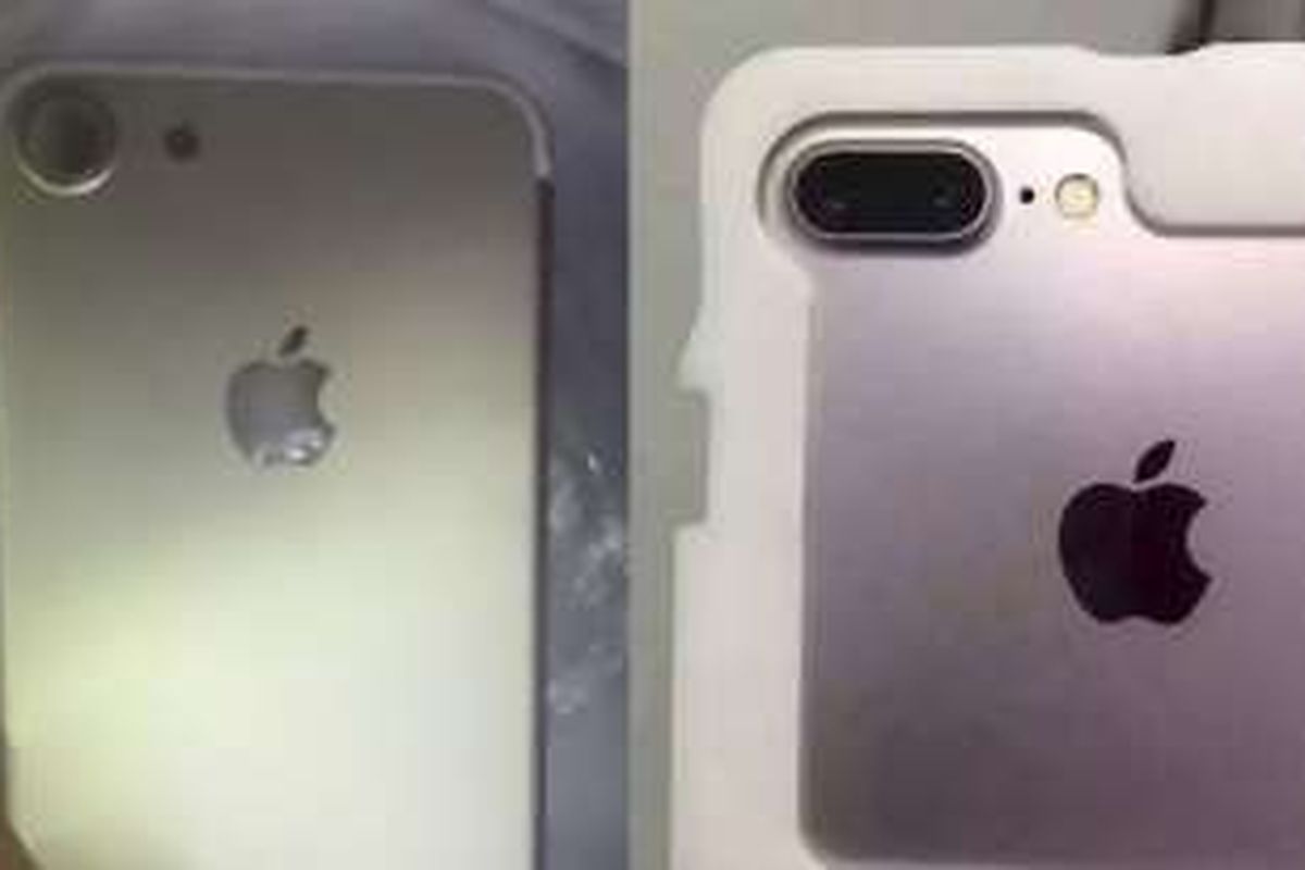 Bocoran gambar desain kamera iPhone 7 (kiri) dan iPhone 7 Plus (kanan).