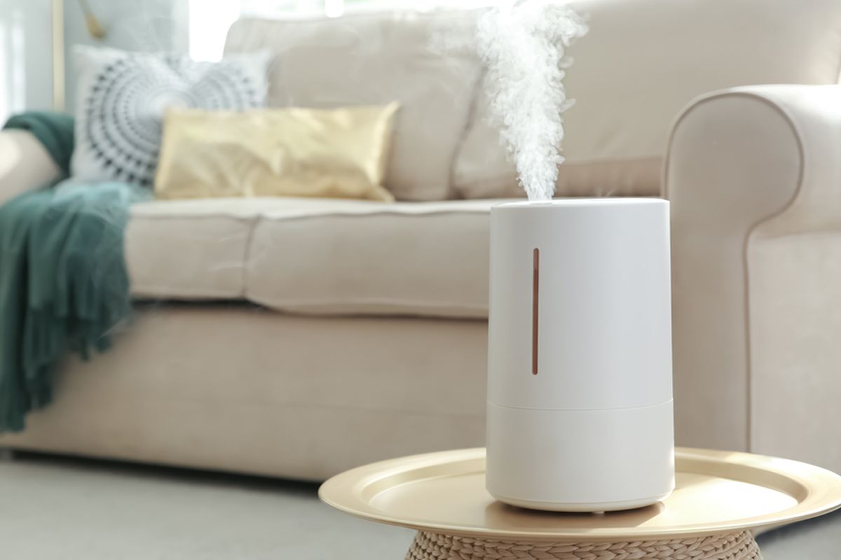 Ilustrasi beda air purifier dan humidifier.