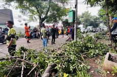 Pengendara Motor Tewas Tertimpa Dahan Pohon, Saksi: Padahal Cerah, Enggak Ada Angin Hujan 