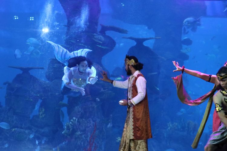 Pertunjukan mermaid di Jakarta Aquarium yang digelar setiap hari.