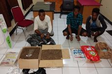 Selundupkan Ganja ke Jayapura, Tiga Warga Papua Nugini Diamankan Polisi