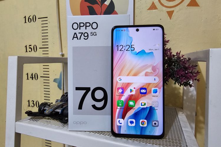 Oppo A79 5G bersama kotak penjualannya. Layar Oppo A79 5G, yang masih tetap menggunakan panel IPS LCD, memiliki ukuran 6,72 inci, lebih luas dari Oppo A78 5G yang memiliki ukuran 6,56 inci.

Selain itu, resolusi layar ponsel terbaru Oppo ini juga lebih besar dengan Full HD Plus (1.080 x 2.400 piksel), alih-alih HD Plus (720 x 1.612 piksel).
