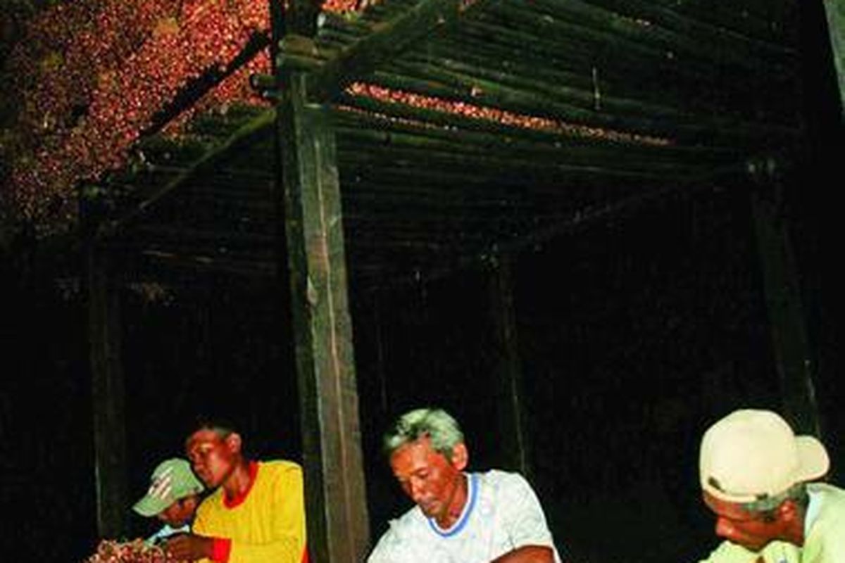 Sejumlah buruh tani di Desa Sidapurna, Kecamatan Dukuhturi, Kabupaten Tegal, Jawa Tengah,  menata bawang merah sisa panen yang sudah disimpan di tempat pengeringan, Minggu (15/1). Saat ini,  petani bawang merah di Kabupaten Tegal tengah terpuruk akibat rendahnya harga bawang merah. Sejak sekitar enam bulan lalu, harga jual bawang merah terus berada di bawah biaya produksi, hanya Rp 2.000-Rp 2.500 per kilogram.