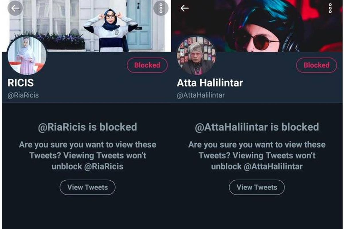Warga Twitter berbondong-bondong blokir akun Atta Halilintar dan Ria Ricis.
