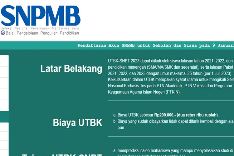 Tangkapan layar laman SNPMB BPPP