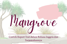 Contoh Report Text tentang Mangrove Trees dan Terjemahannya