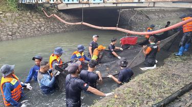 Pakar BRIN: Jangan Hanya Fokus Ikan Sapu-sapu, Ada 18 Spesies Invasif Mengintai Perairan Kita