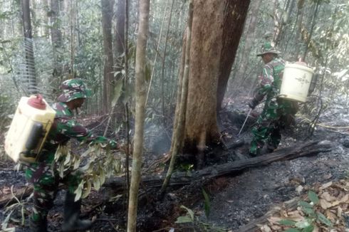 Padamkan Kebakaran Hutan di Perbatasan, Warga dan TNI Gunakan Alat Semprot Rumput
