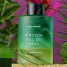 Home of Humans Luncurkan Reed Difuser dengan Wangi Hujan