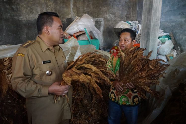 Bupati Blora Arief Rohman saat meninjau Gabungan Kelompok Tani (Gapoktan) Desa Palon, Kecamatan Jepon, Senin (18/9/2023).

