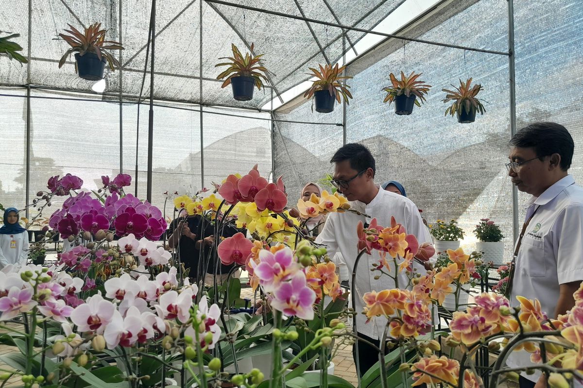 Wakil Menteri BUMN Aminuddin Ma'ruf saat mereamikan kebun riset Kujang Kampioen di PT Pupuk Kujang, Jumat (7/2/2025).