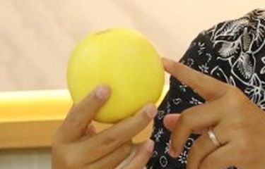Mengenal Baby Melon Hikapel, Melon Seukuran Apel, Apa Keistimewaannya?
