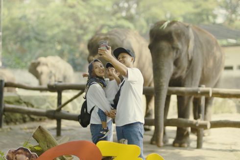 Viral Video Pernikahan di Gembira Loka Zoo, Ini Penjelasan Manajemen