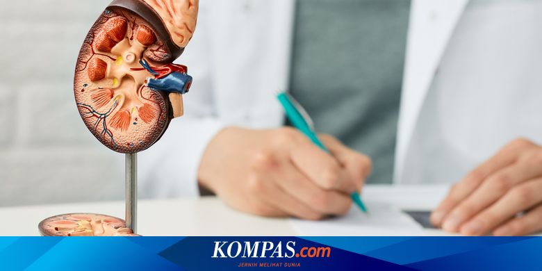 Belum Tentu Penyebab Gagal Ginjal Akut