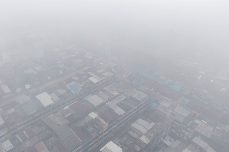 Karhutla Jambi Capai 658 Hektare, Kabut Asap Ganggu Penerbangan