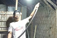 Tren Mobil Listrik Bekas di Indonesia: Apa Kata Pedagang?