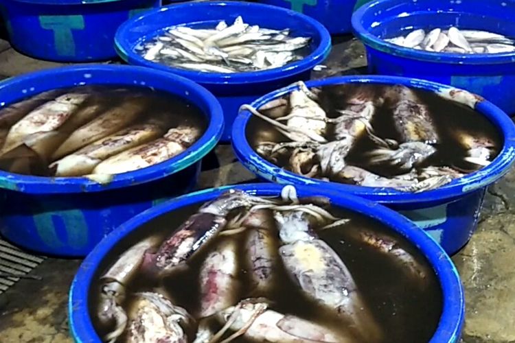 Hasil laut yang dijual di Pasar Ikan Modern Muara Baru, Jakarta Utara, Kamis (21/3/2019).