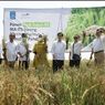 Luhut Ingin Formula R5 IKA ITS Digunakan di Lahan Food Estate