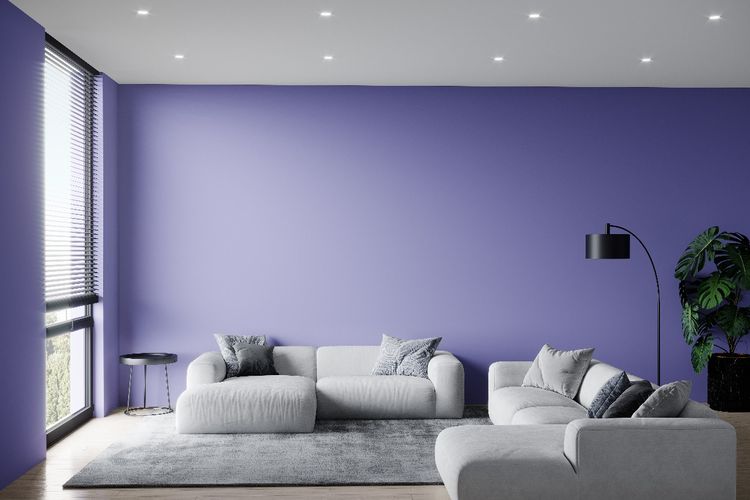 Ruang tamu dengan cat dinding berwarna lilac grey