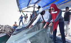 Jajal Teknologi Purse Seine, Bupati Luwu Utara Tangkap 150 Kilogram Ikan
