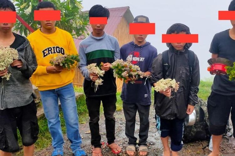 Enam pendaki Gunung dempo Sumsel yang di-blacklist selama tiga tahun tak boleh mendaki lantaran melakukan pendakian secara ilegal dan memetik bunga edelweis dan kayu panjang umur.