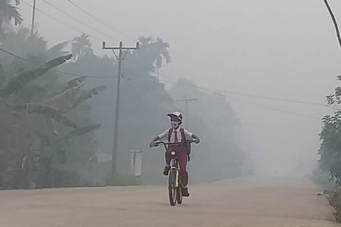 Sekolah Dasar di Bengkalis Diliburkan akibat Kabut Asap Karhutla