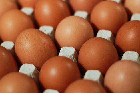 Ini yang Akan Terjadi pada Tubuh jika Konsumsi Telur Tiap Hari