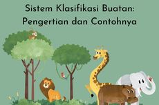 Sistem Klasifikasi Buatan: Pengertian dan Contohnya