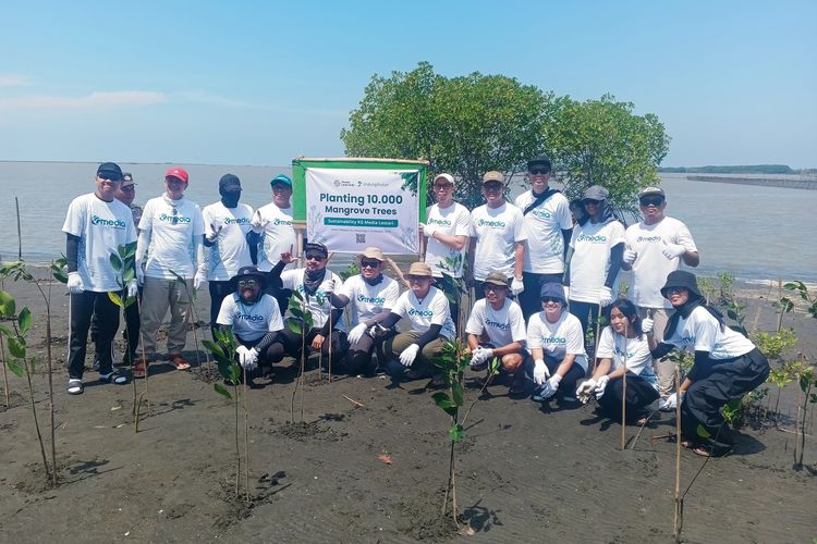 KG Media melakukan penanaman 10.000 bibit mangrove di pesisir Pabean Ilir, Kabupaten Indramayu, Jawa Barat, pada Kamis (16/10/2025).