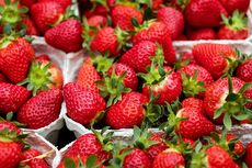 Apakah Penderita Diabetes Boleh Makan Strawberry?