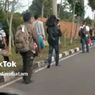 Demi Taksi Online, Penumpang Bandara di Batam Rela Jalan Kaki 2 Km ke Titik Penjemputan