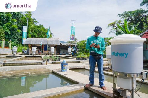 Gandeng eFishery, Amartha Bakal Salurkan Modal Rp 100 Miliar untuk Pembudi Daya Ikan