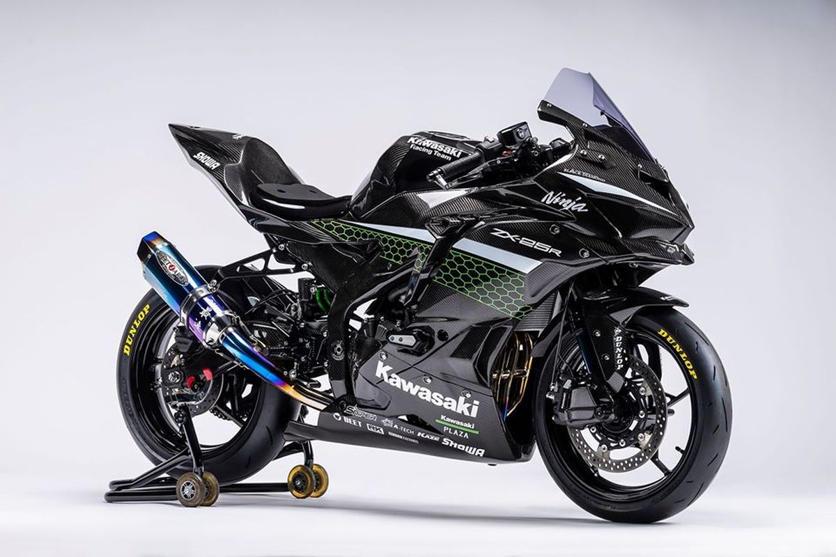 Kawasaki Ninja ZX-25R Racer Custom Model