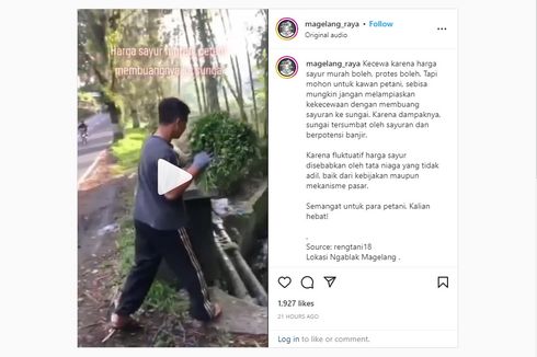 Video Viral Pria Buang Sayuran ke Sungai karena Harga Anjlok di Magelang