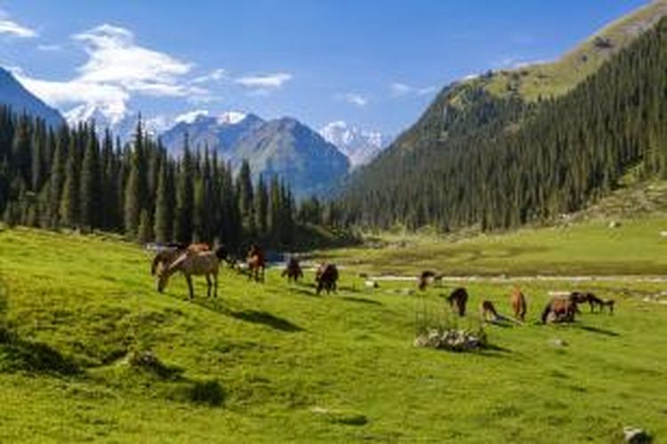 Pegunungan di Kirgizstan