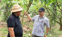 Lewat Indonesia International Cocoa Conference, Jembrana Kenalkan Potensi Kakao yang Juara