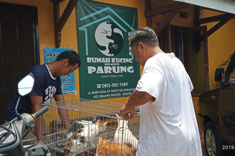 Dita Agusta, ibu dengan 250 kucing didatangi warga yang hendak menitipkan sejumlah kucing untuk dirawat di Rumah Kucing Parung, di Jalan Pasir Naga, Kelurahan Pabuaran, Kecamatan Kemang Parung, Kabupaten Bogor, Jawa Barat, Minggu (15/12/2019).