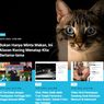 [POPULER TREN] Alasan Kucing Menatap Kita Berlama-lama | Tentang Ibu Kota Baru Nusantara