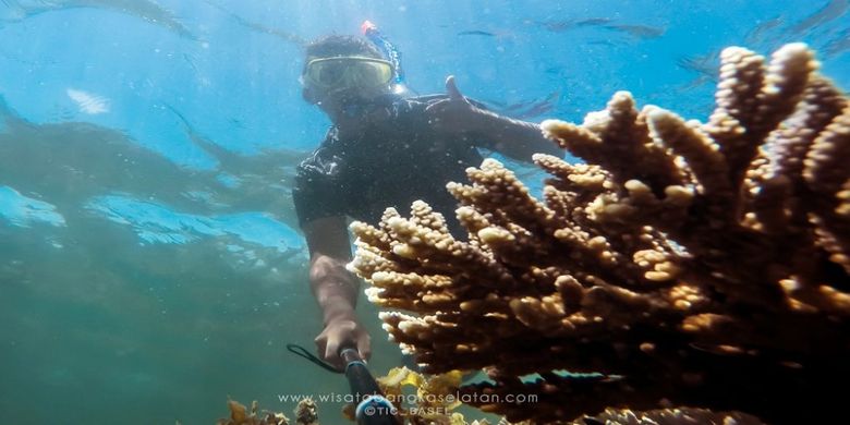 Selfie di Terumbu Karang Pulau Kelapan, Bangka Selatan, Provinsi Bangka Belitung.