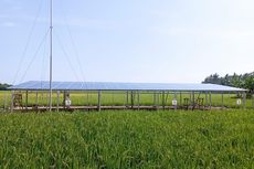 Transformasi Energi Matahari Jadikan Lahan Pertanian di Purworejo Aktif Sepanjang Tahun