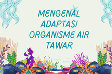 Mengenal Adaptasi Organisme Air Tawar