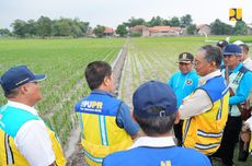 Tanam Padi Hemat Air hingga 30 Persen di Daerah Irigasi Rentang